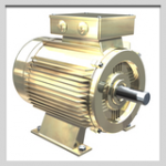 1 - ELECTRIC MOTORS